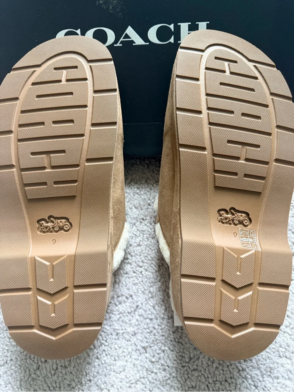 Coach Women's Sculpted C Platform Clogs in Shearling and Suede